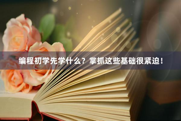 编程初学先学什么？掌抓这些基础很紧迫！
